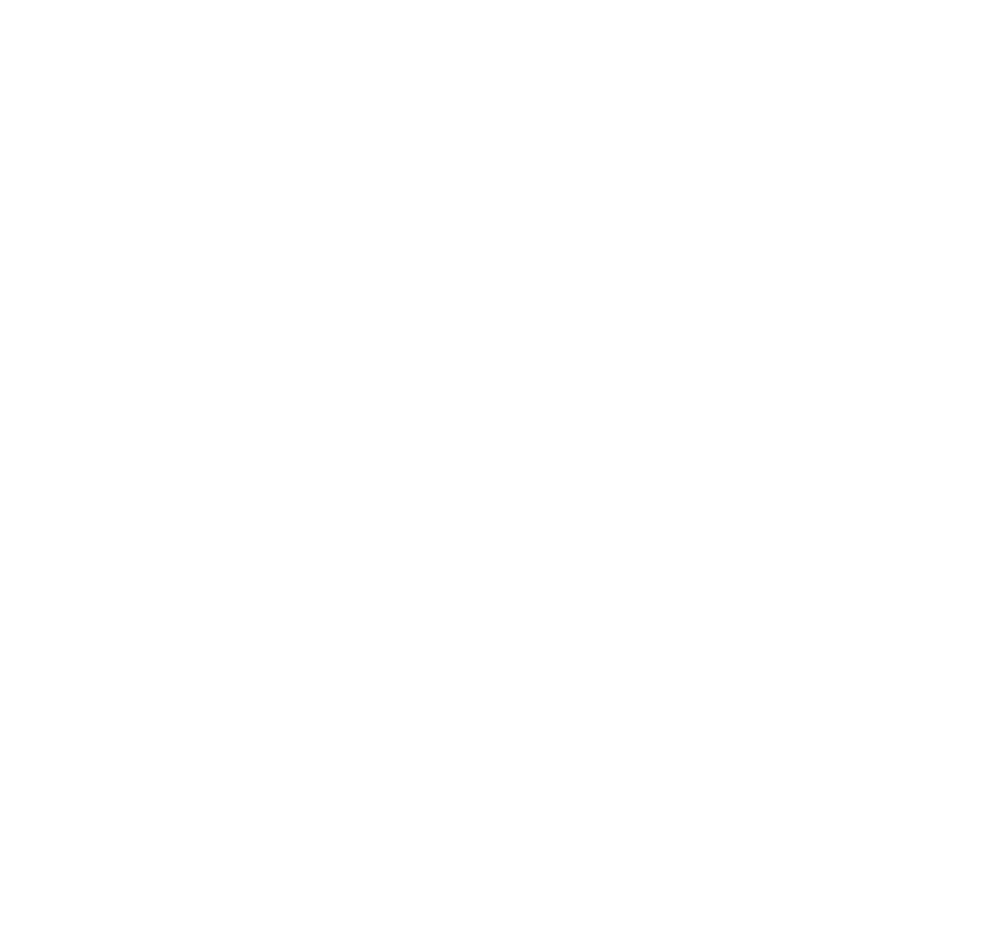 Raemoir Manor Care Home logo